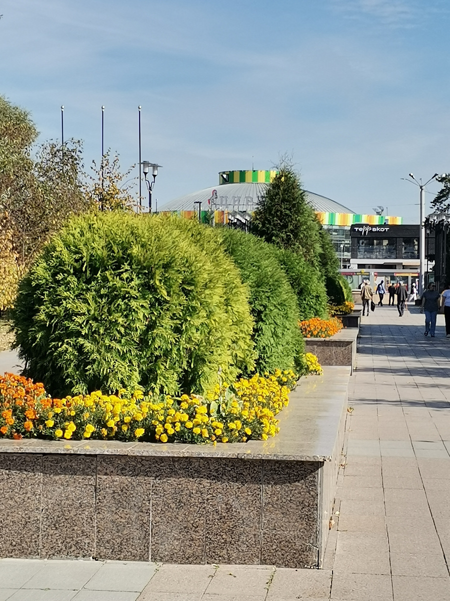 Вид на здание цирка