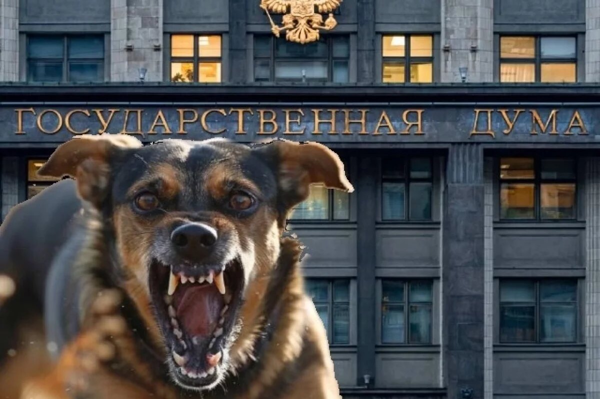    Запрет для молодых и пьяных.