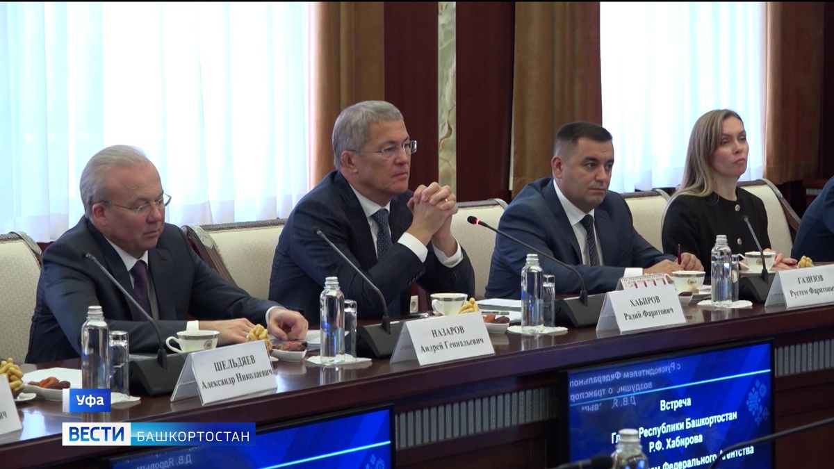    Радий Хабиров встретился с главой Росавиации Дмитрием Ядровым