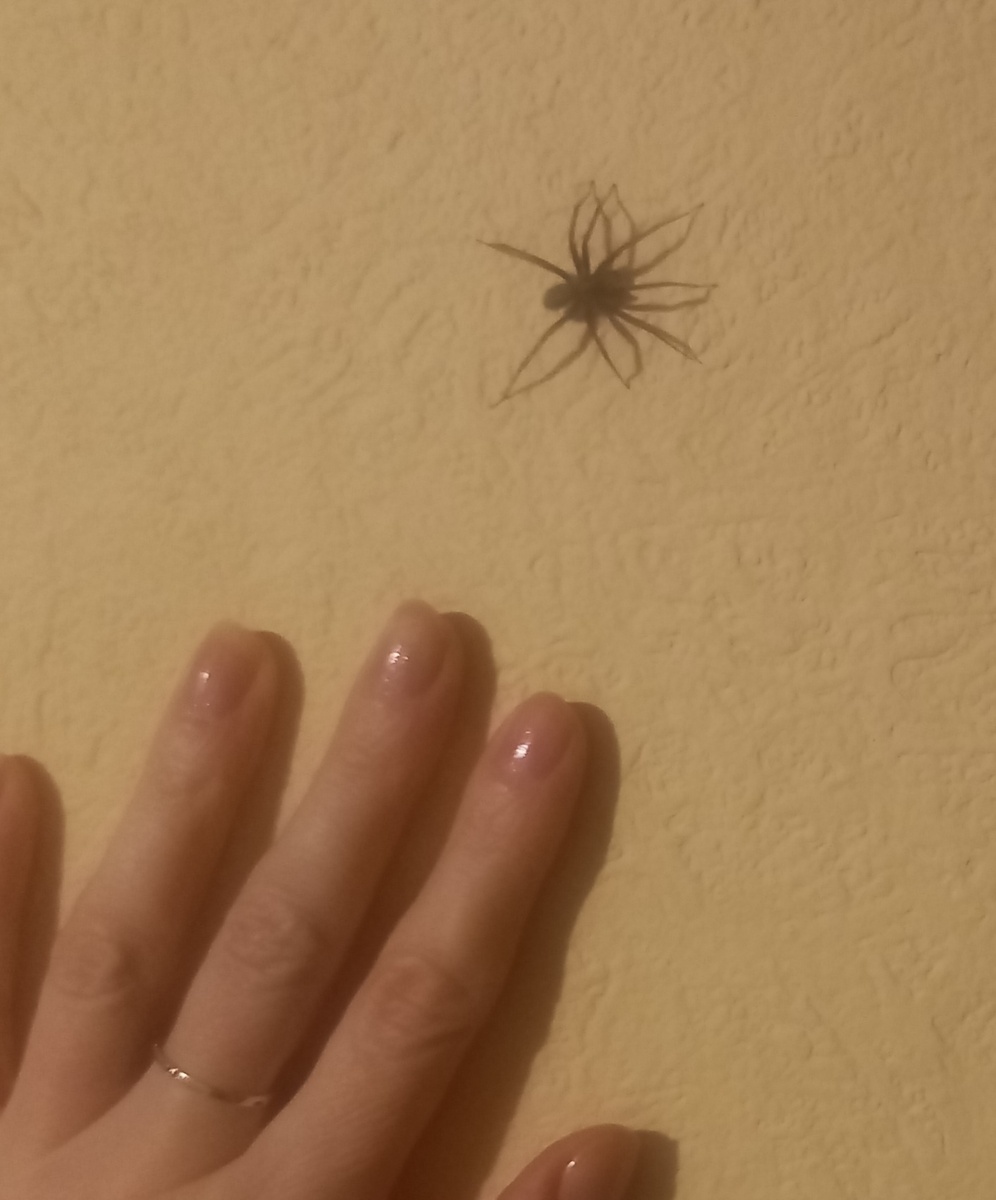 Друг сердешный