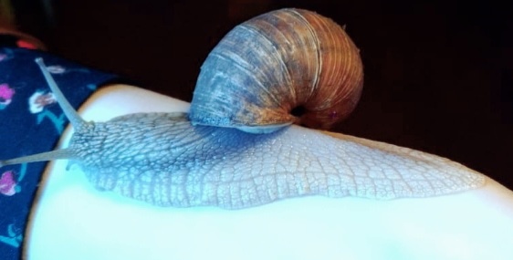 Подруга Валя мармеладная