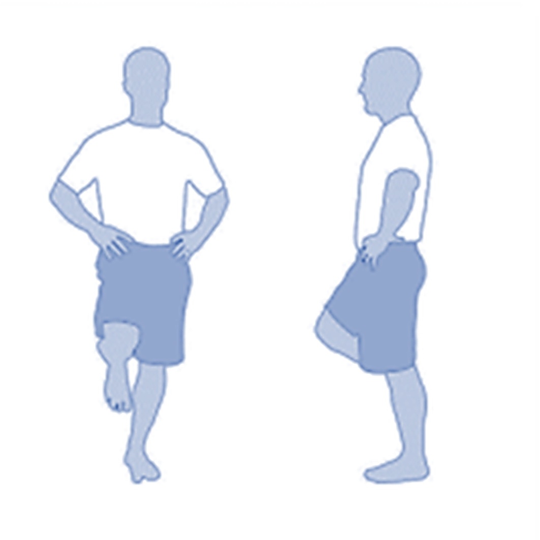 Тест на фламинго