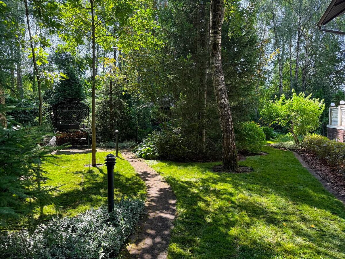 Рулонный газон, который мы уложили на одном из участков Московской области