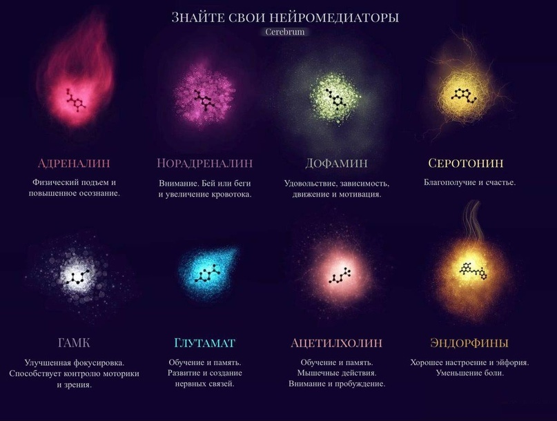 Многие из них зависят от железа. (Источник: https://dzen.ru/a/Z12RrtOmClbKeLXg)