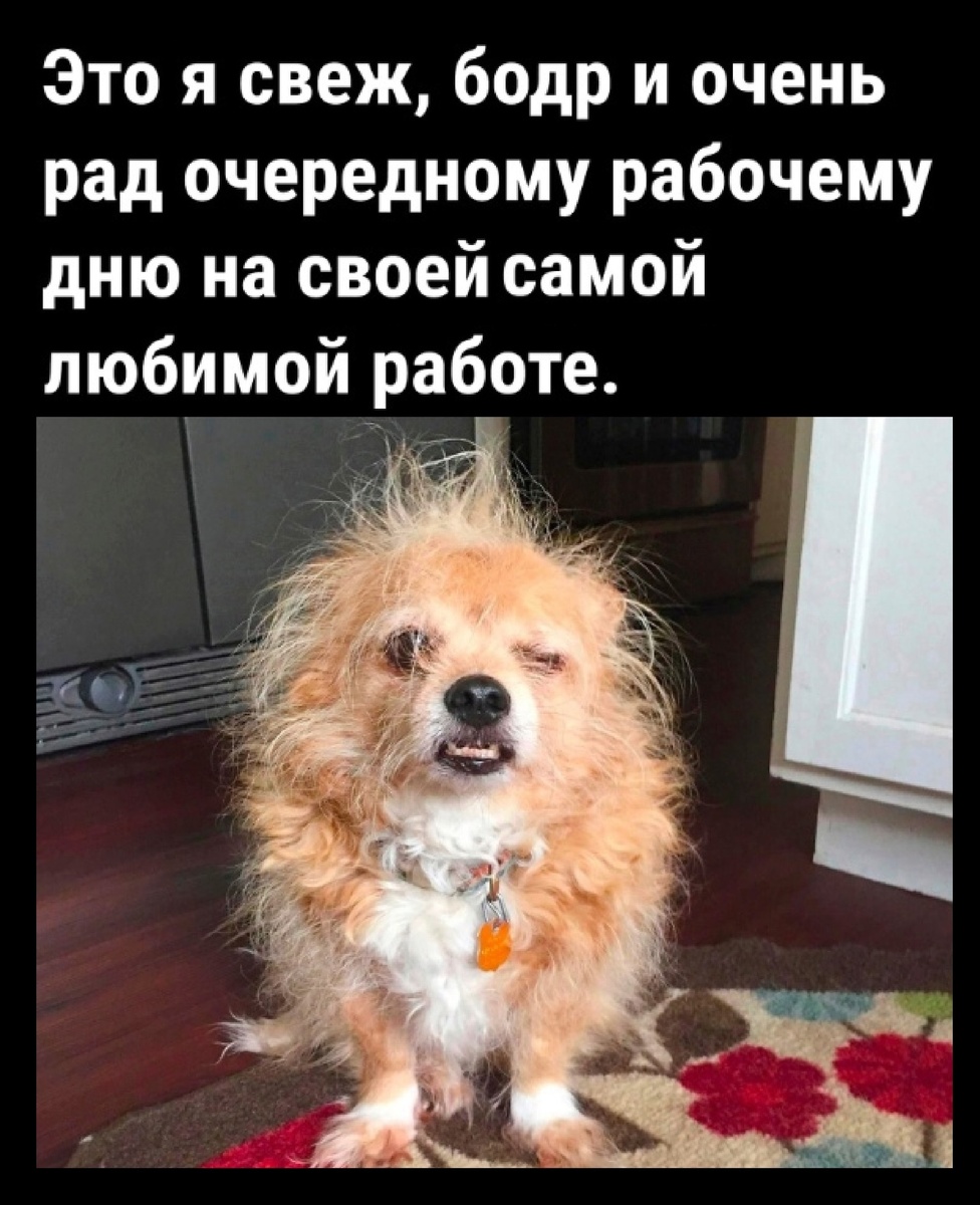 Подпишись, дальше интересней))