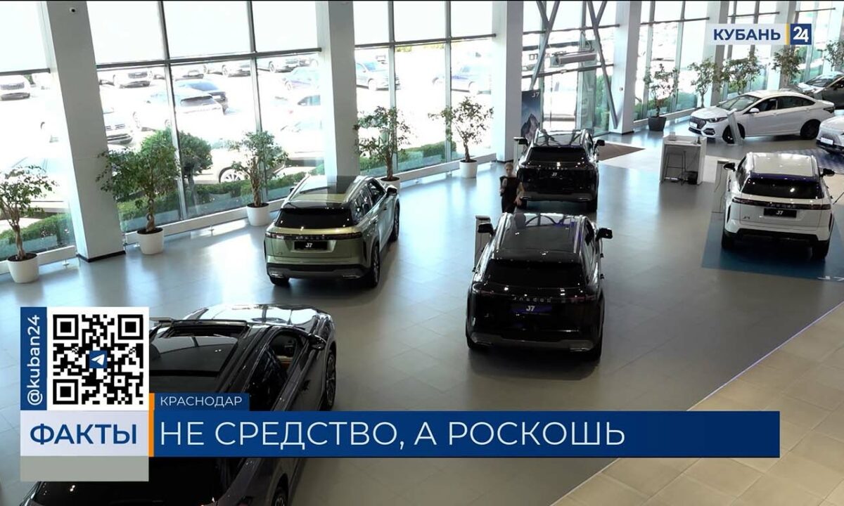    Видео канала «Кубань 24»