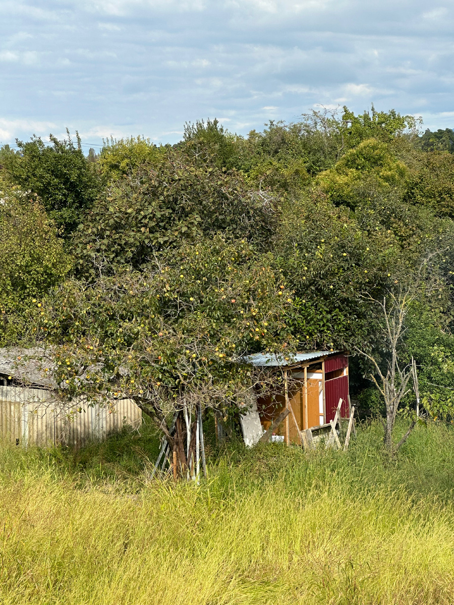 Вид из номера