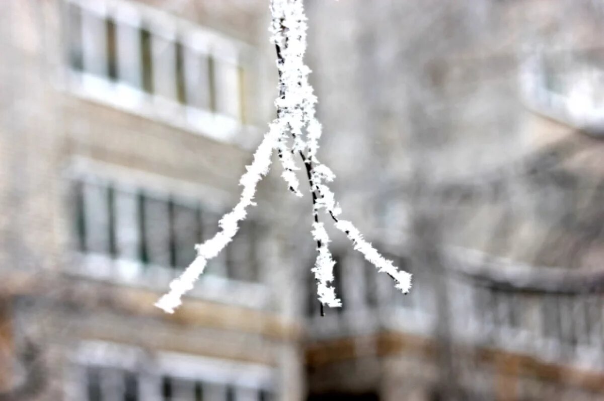    Синоптик Позднякова: в выходные в Подмосковье возможны заморозки