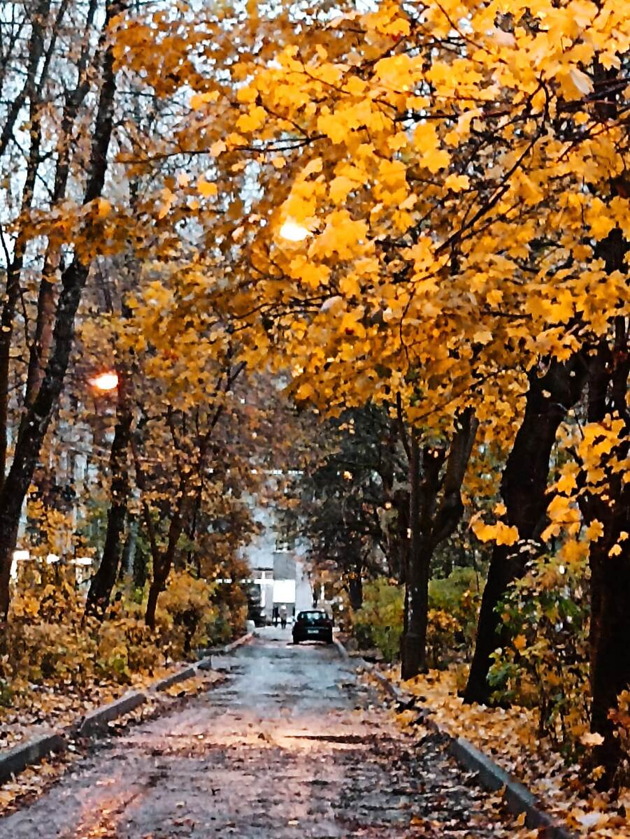 Прям настоящая осень нагрянула((