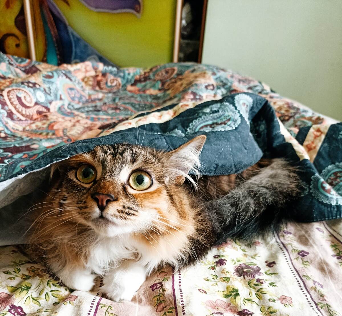 Барашке под покрывалом теплее)) 