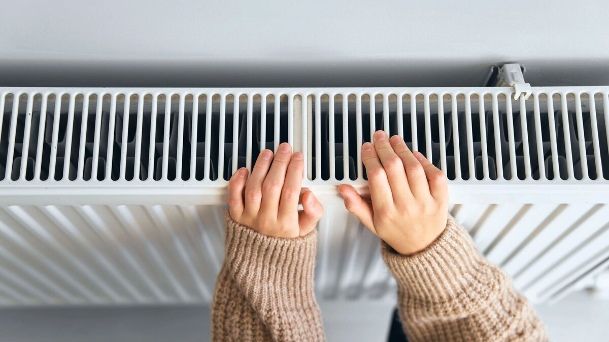    Фото: Improvisor/Shutterstock/Fotodom