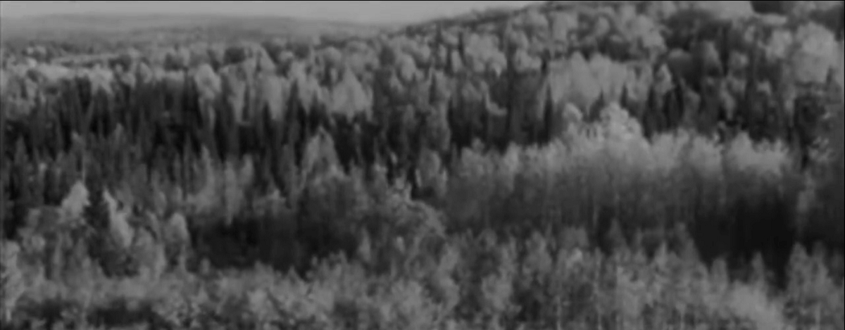 Алтай