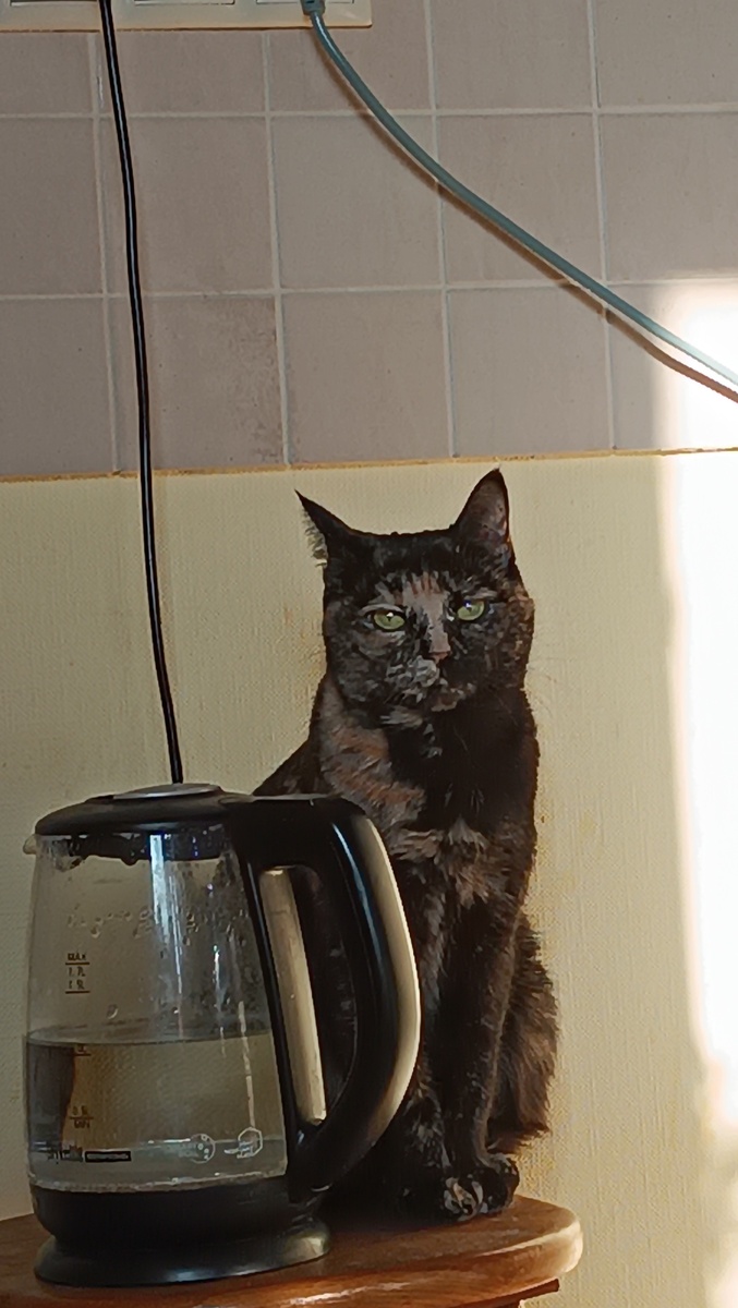 Касипоша (мимикрирует под чайник) 