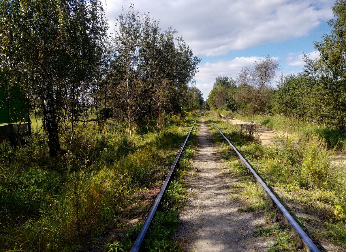 Линия в пос. Красково в 2025 г., фото автора