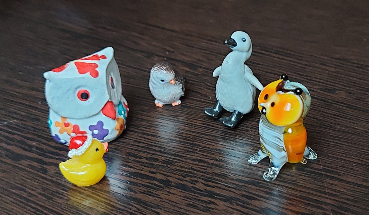 Пернатые кармашники. Фото автора канала