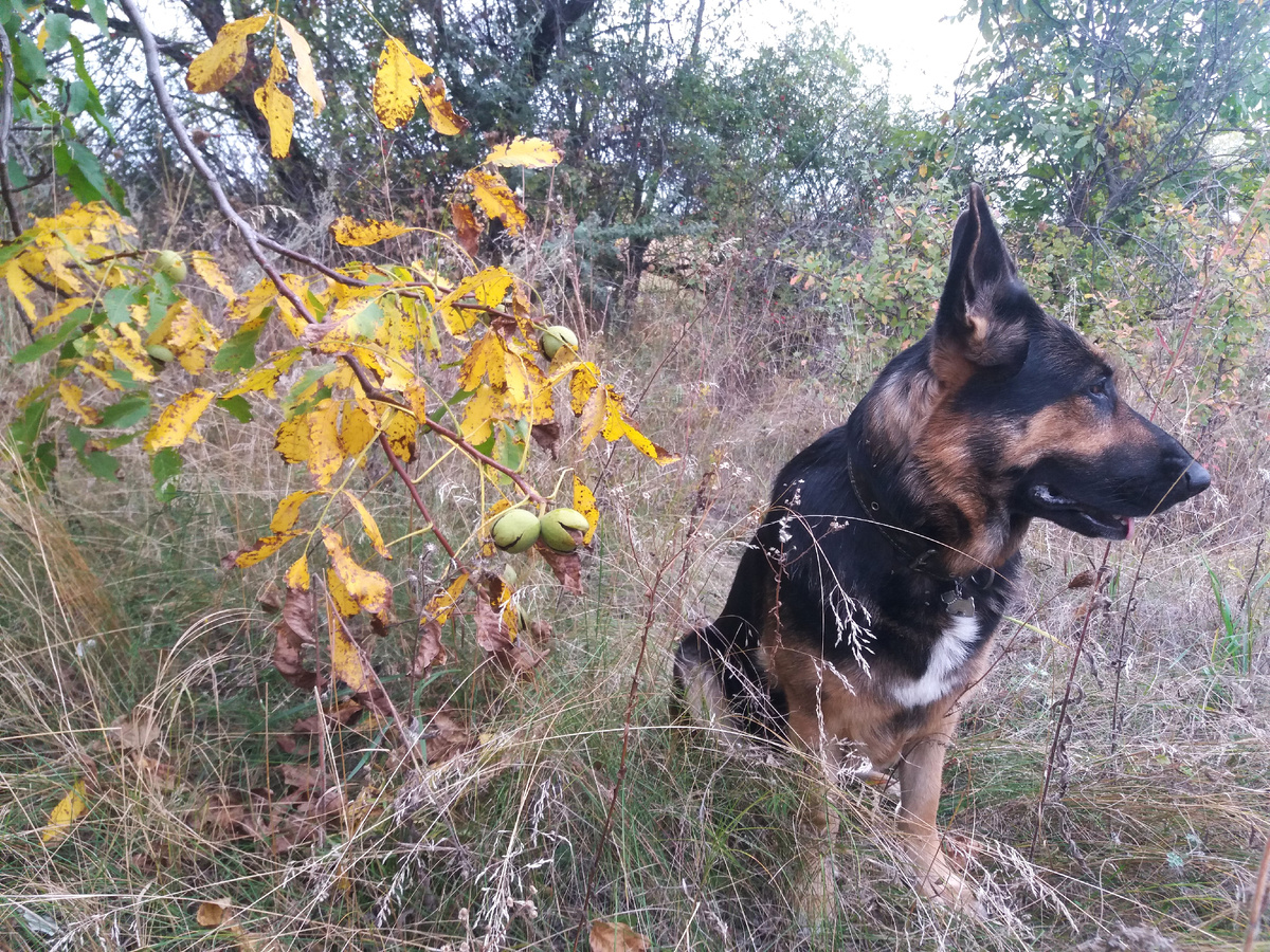 Фото автора