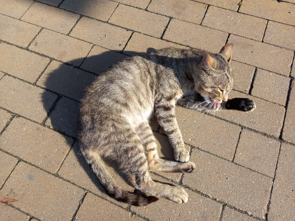 Фото автора. Август-2023 года