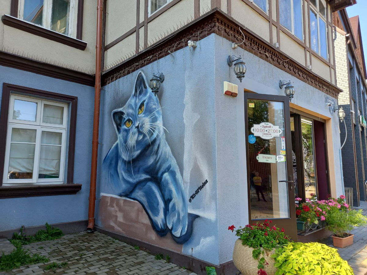 город Зеленоградск Калининградской области. Август-2023 года. Фото автора.