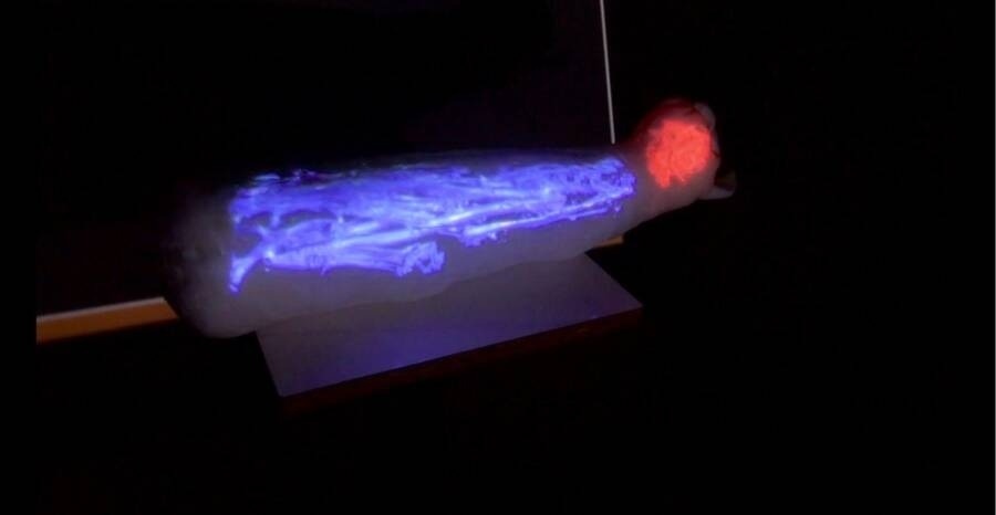    Исследователи использовали компьютерную томографию для изучения внутренней части мумии /IRISA/INSA Rennes