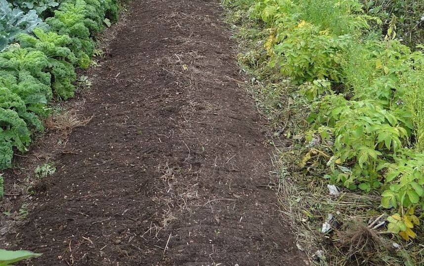 парование земли на грядке. фото с сайта https://kubnews.ru/upload/resize_cache/iblock/3c4/1200_800_2/bxzhwmhxnhy5yntnv9gj9avqna0lb4rf.jpg. па