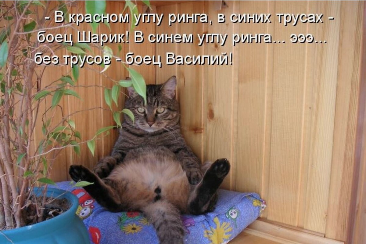 источник Яндекс-картинки