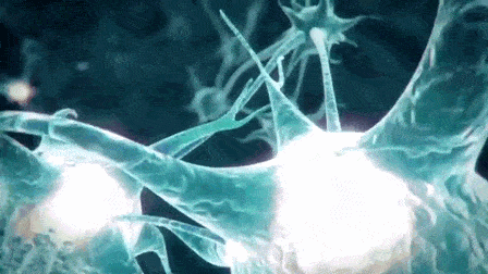 передача нервного импульса 