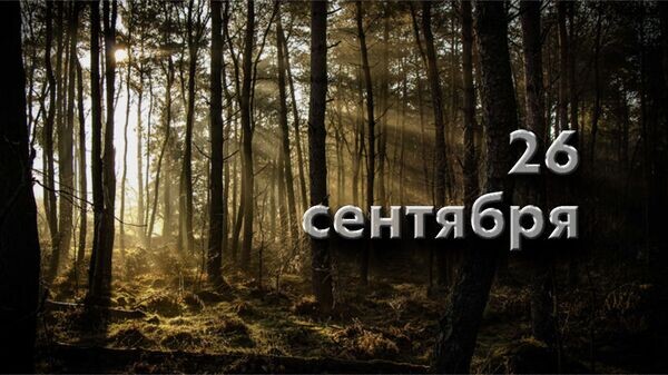    © Photo : Matthias Groeneveld: Pexels