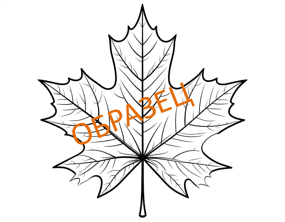 Это только один вариант из нескольких, которые есть в премиум подписке