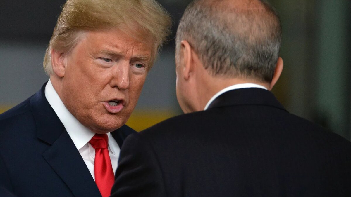 © Sputnik / Алексей Витвицкий / Перейти в фотобанк