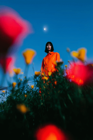 Тайна женского рода: Сила без позолоты: Как отличить уверенность от высокомерия и обрести подлинную внутреннюю опору. Лабораторий Лазарева А.С.