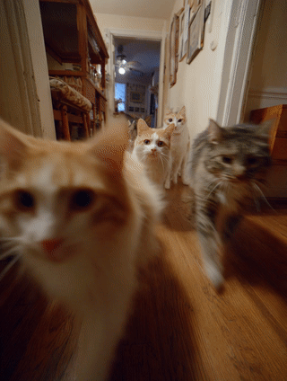 Тайна женского рода: Сила без позолоты: Как отличить уверенность от высокомерия и обрести подлинную внутреннюю опору. Лабораторий Лазарева А.С.