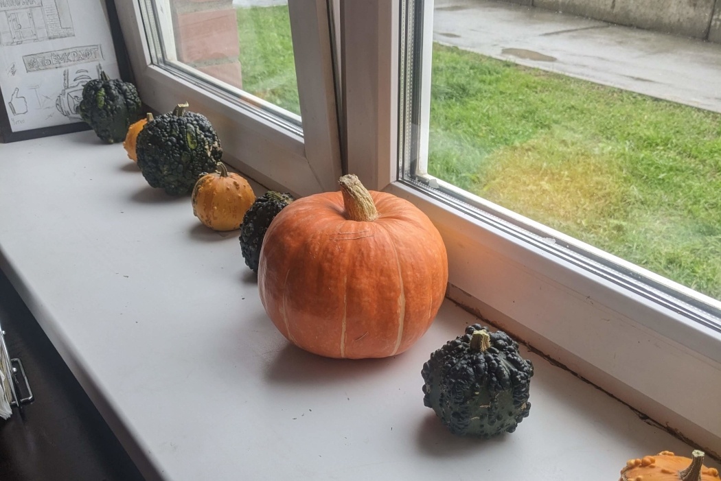    Фото: © ИА «Уральский меридиан»