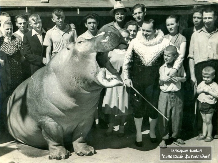 Фото из открытых источников