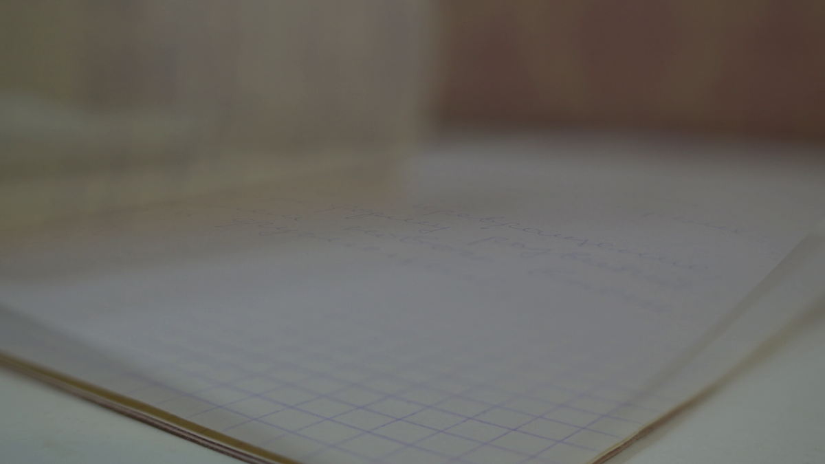 Кадр из видео.