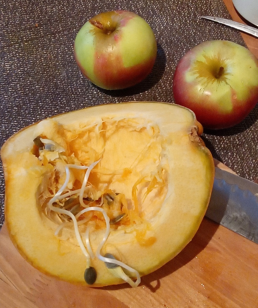 Беременная тыква в декабре 2024