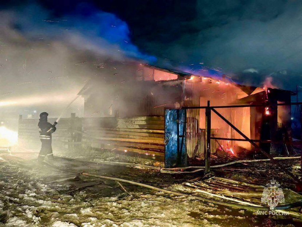    В Новосибирском зоопарке при пожаре погибли животные