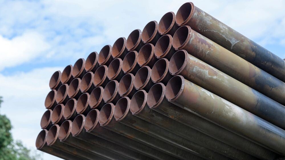    Фото: BreizhAtao/Shutterstock/Fotodom