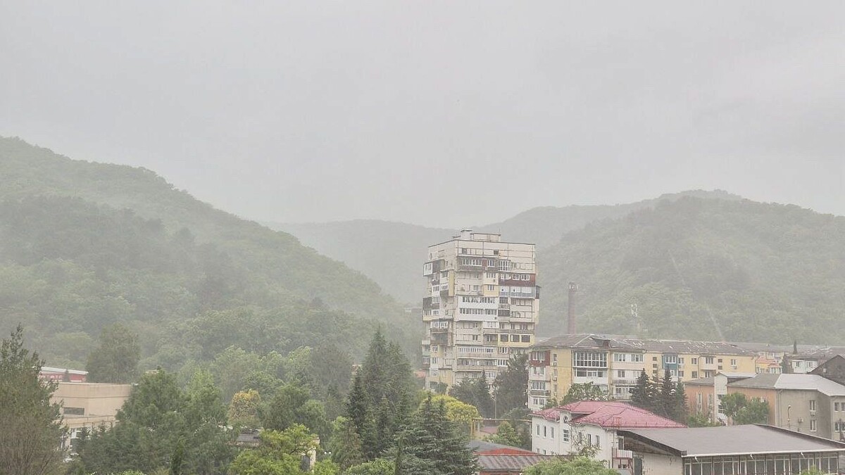    Фото: телеканал «Краснодар»