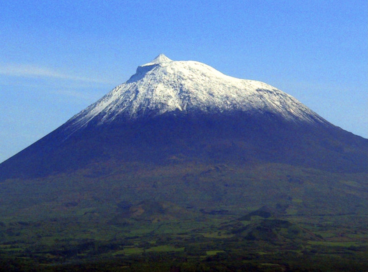 Пику. Фото с Яндекс.Картинки