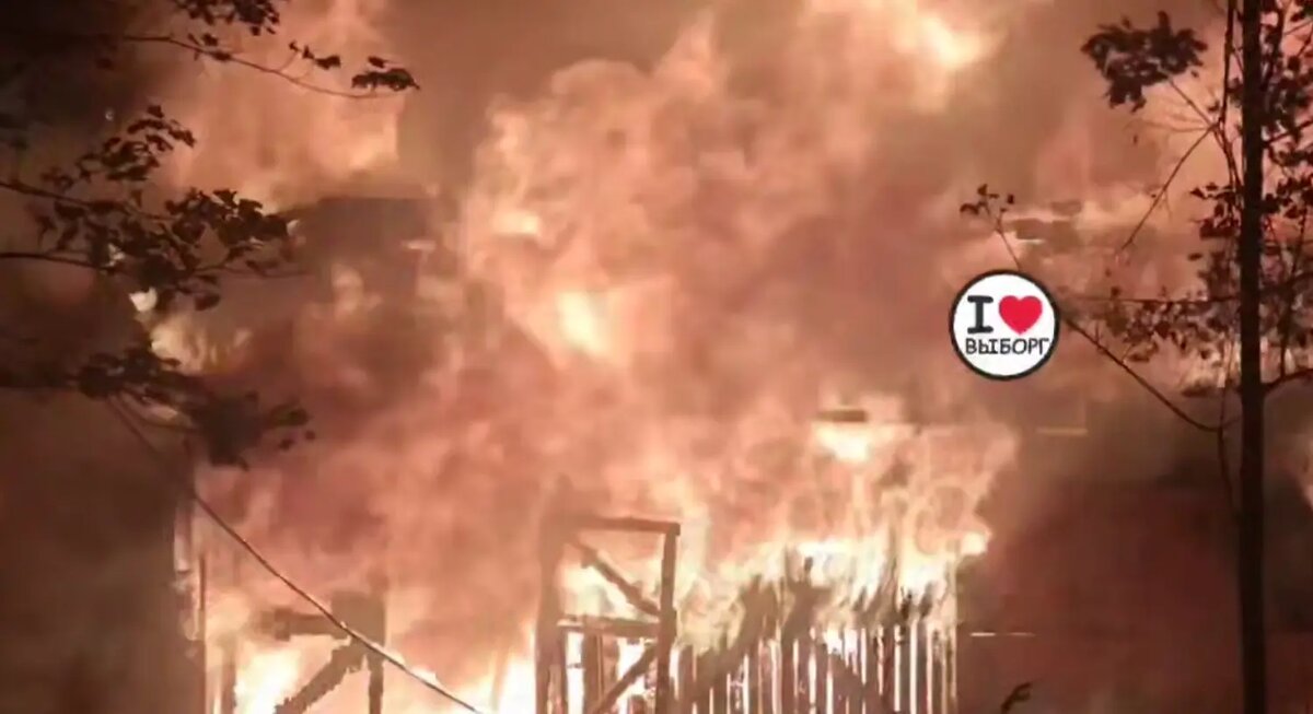    Фото: стоп-кадр видео из телеграм-канала «Выборг Go»