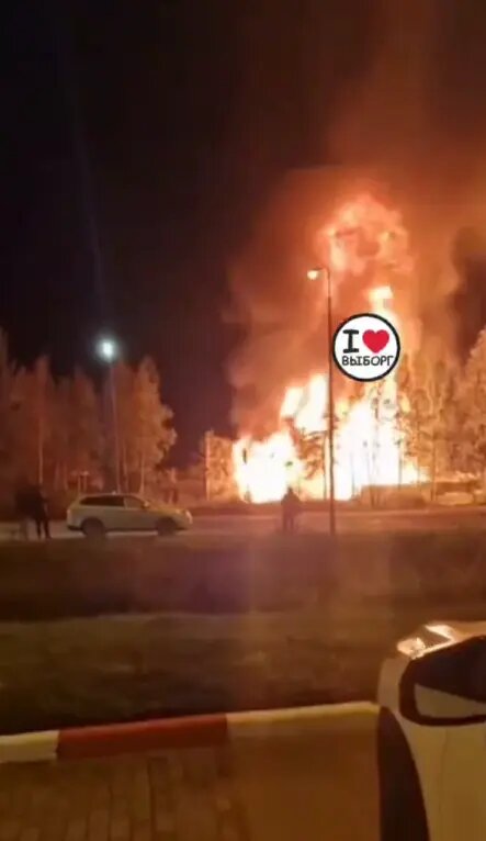    Фото: стоп-кадр видео из телеграм-канала «Выборг Go»