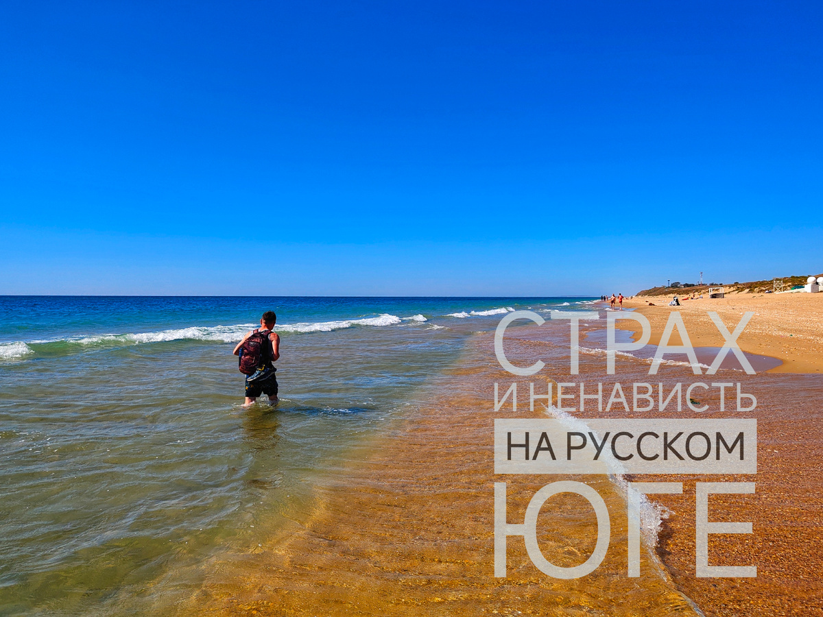 Страх за природу и людей. Ненависть из-за того, что допустили такую катастрофу