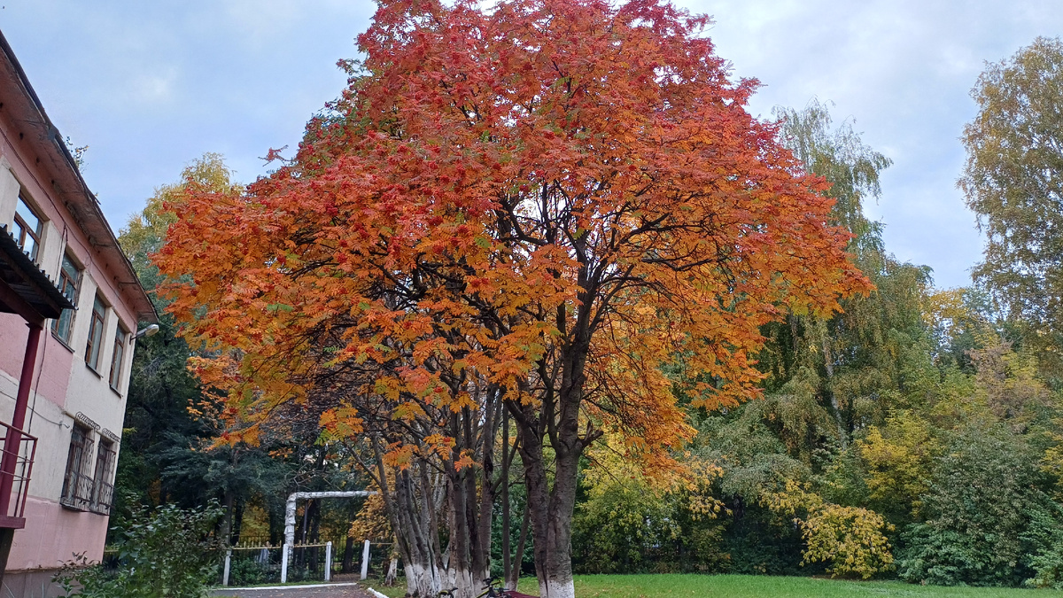 Красота у центра туризма.