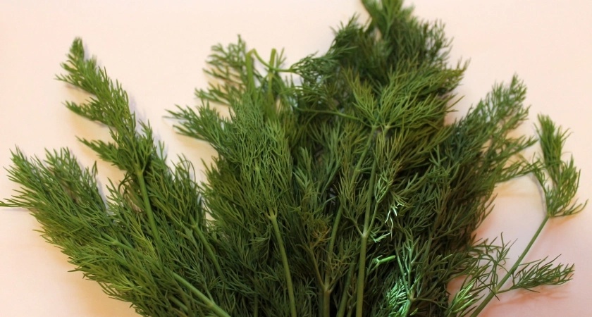    Нужно ли мыть укроп и петрушку? Запомните раз и навсегда