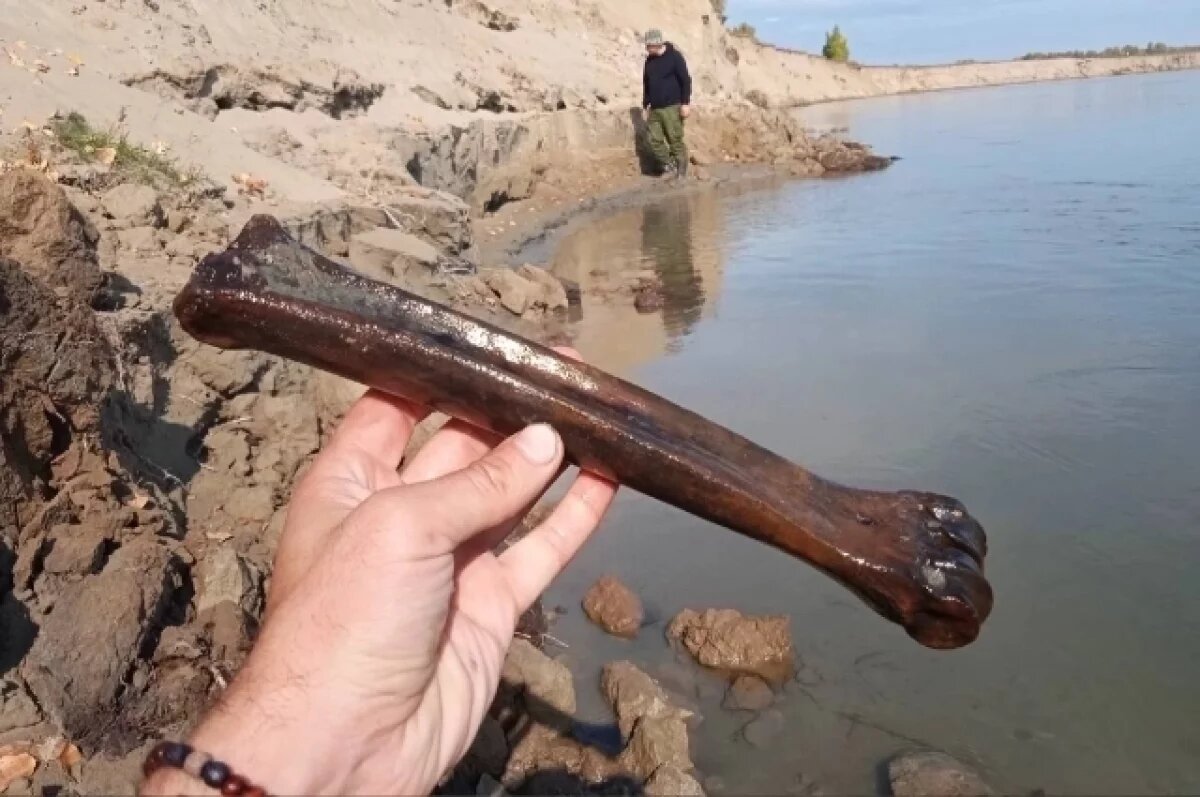    Геолог рассказал, какие артефакты новосибирцы находят на берегу Оби