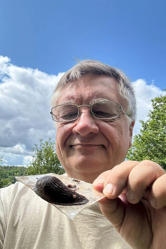    Если слизни погинбнут, рухнут пищевые цепочки. Фото из личного архива