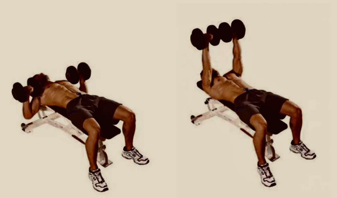 Наглядный пример выполнения жима гантелей лежа на скамье.