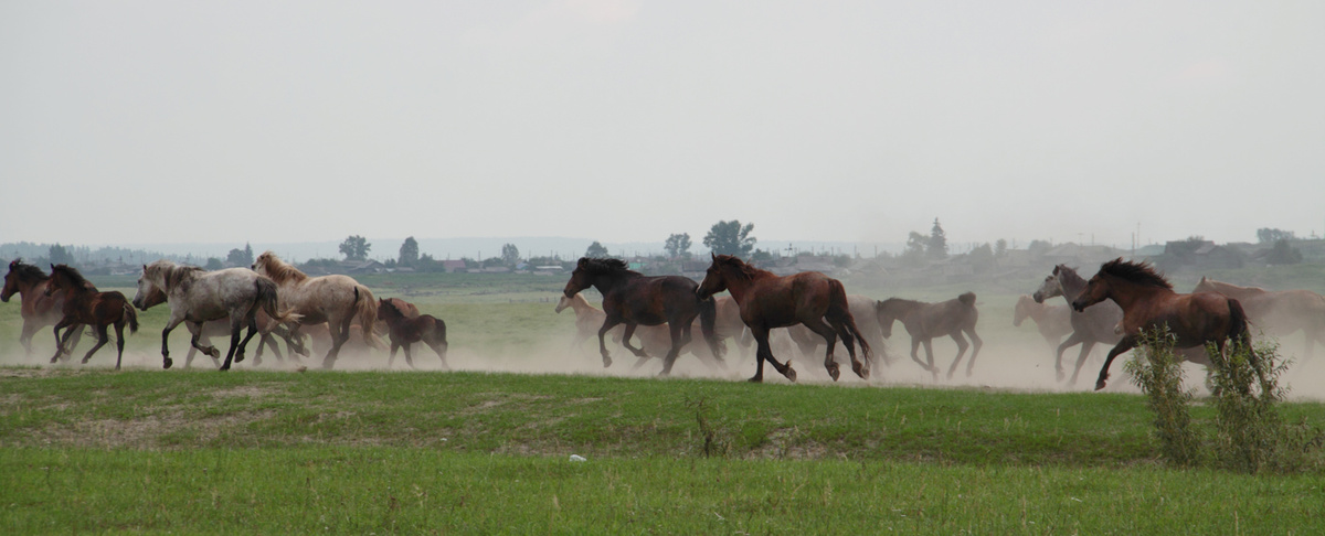 Фото Николая Морского