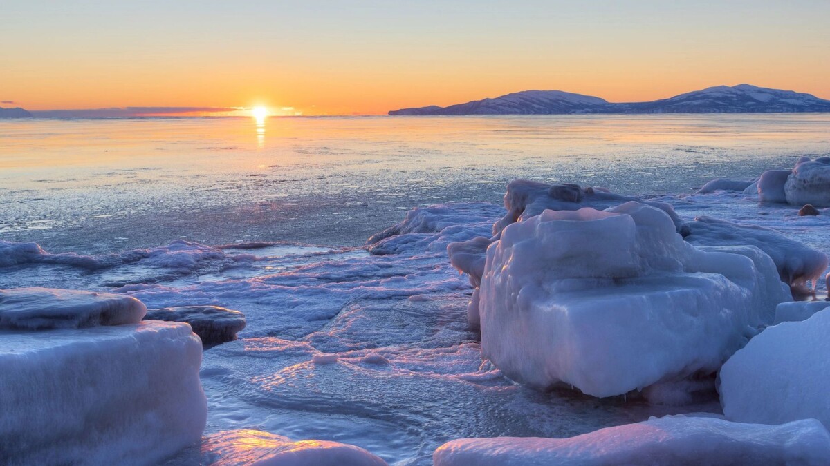    Фото: Andrei Stepanov / Shutterstock / Fotodom