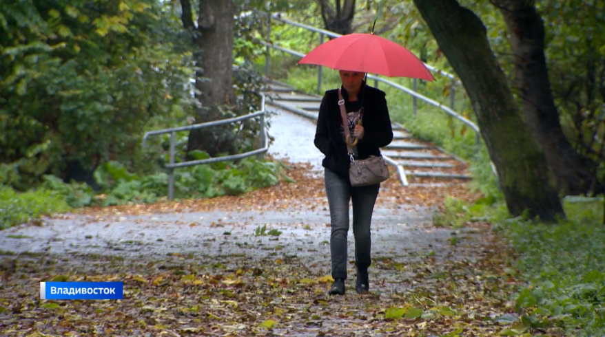    Источник фото: